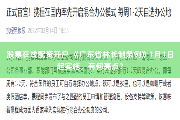 股票在线配资开户 《广东省林长制条例》1月1日起实施，有何亮点？