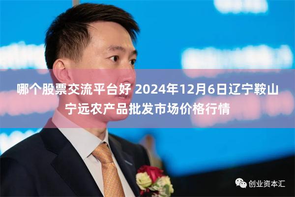 哪个股票交流平台好 2024年12月6日辽宁鞍山宁远农产品批发市场价格行情