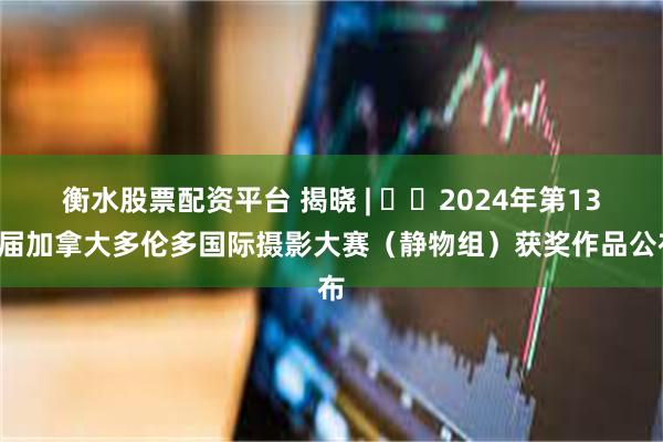 衡水股票配资平台 揭晓 | ​​2024年第131届加拿大多伦多国际摄影大赛（静物组）获奖作品公布