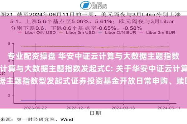 专业配资操盘 华安中证云计算与大数据主题指数发起式A,华安中证云计算与大数据主题指数发起式C: 关于华安中证云计算与大数据主题指数型发起式证券投资基金开放日常申购、赎回、转换和定期定额投资业务公告