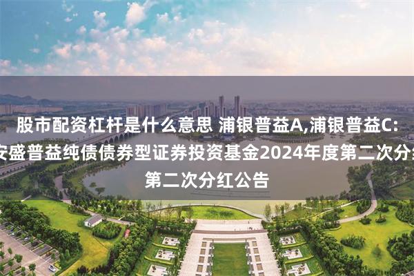 股市配资杠杆是什么意思 浦银普益A,浦银普益C: 浦银安盛普益纯债债券型证券投资基金2024年度第二次分红公告