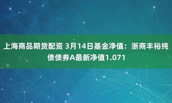 上海商品期货配资 3月14日基金净值：浙商丰裕纯债债券A最新净值1.071